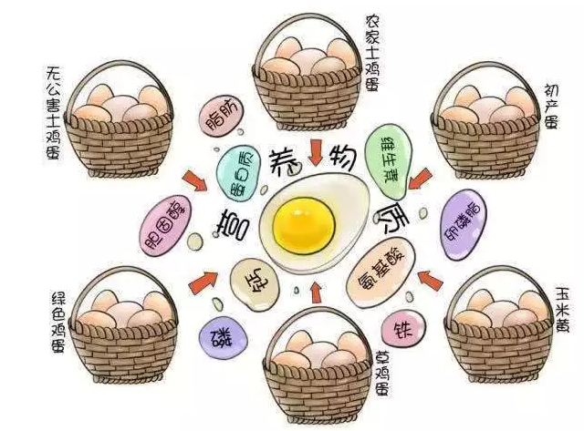 遍尋菜譜收集的雞蛋7中新吃法，第2中最好，第7中最營養(yǎng)